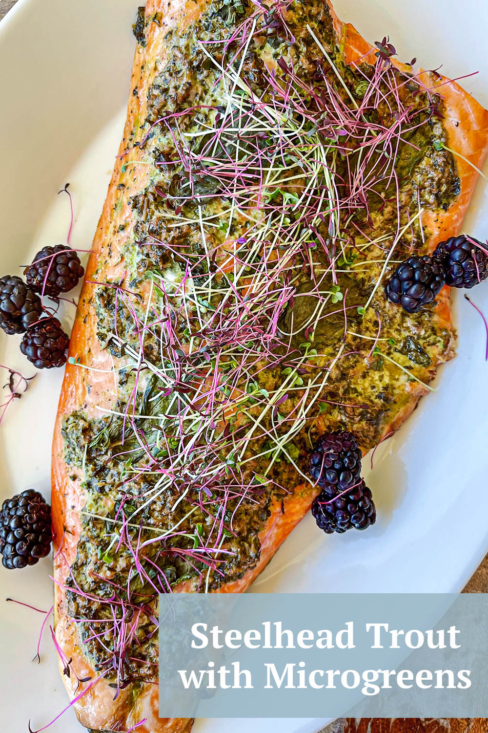 Pesto steelhead trout with microgreens and blackberries